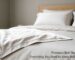 Premium Bed Sheets Online